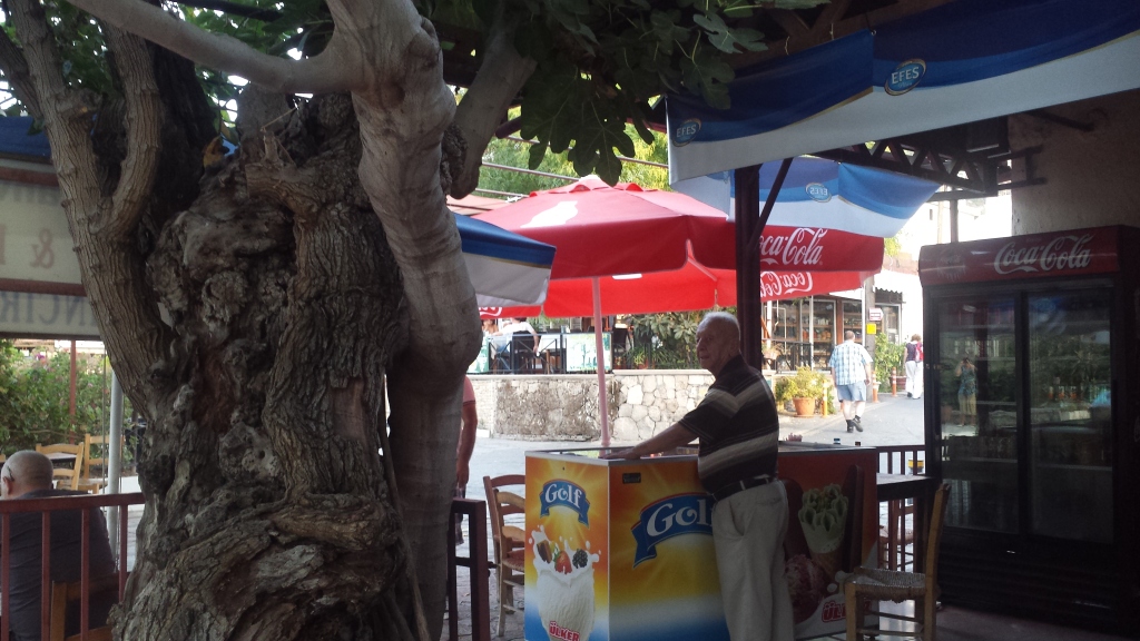 Mr Refet, owner of Dut ağacı kahvehanesi,  Bellapais