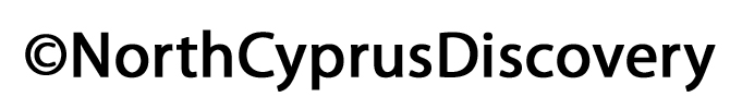 copyright